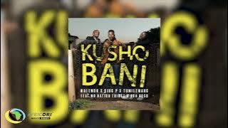 Malemon, Tumilemang & King P - Kusho Bani (feat. DBN Gogo & Mr Nation Thingz) (Official Audio)