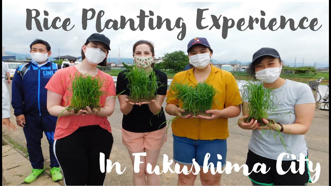 Rice Planting Experience in Fukushima City - YouTube