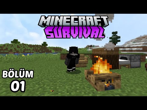 TATLI BİR BAŞLANGIÇ! | Minecraft: Modsuz Survival | S1 Bölüm 1