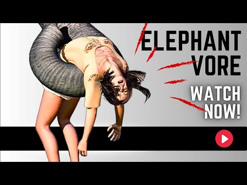 Elephant Vore - The Missing Zoologist