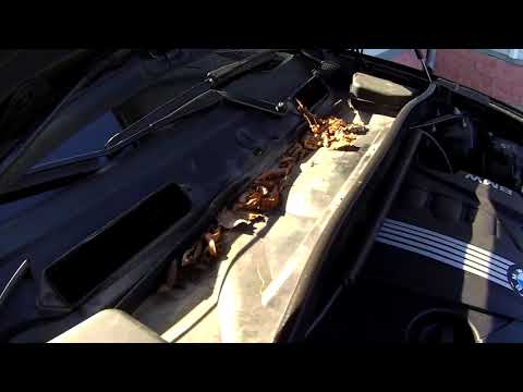 BMW X1, замена САЛОННОГО ФИЛЬТРА (cabin filter changing).