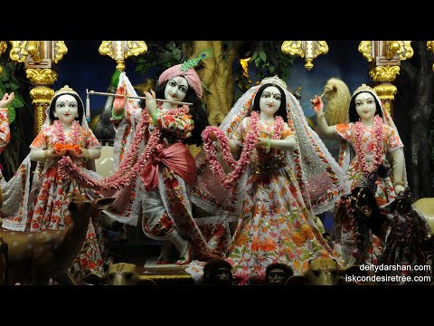 17th May. '24 | Mangal Aarti Darshan | Sri Sri Radha Gopinath Temple | ISKCON Chowpatty Mumbai.