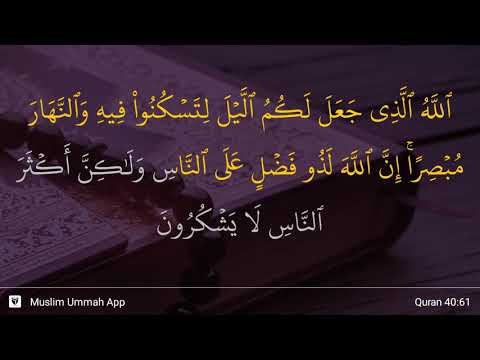 Ghafir ayat 61