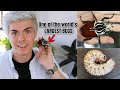 Unboxing a GIANT GOLIATH BEETLE + LARVAE