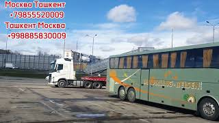 Москва Ташкент автобус Ташкент Москва автобус #uz #авто #тренды