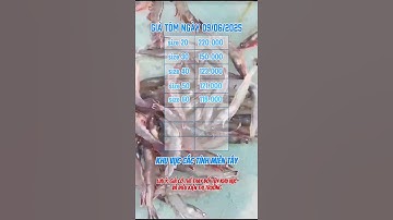 Giá tôm thẻ hôm nay 09/06 #tomthechantrang #shortvideo #tomgiongchatluong #xuhuongyoutube