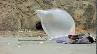 Hydrogen made with Aluminum + Lye + Water, filled into a condom and ignited with a burning paper