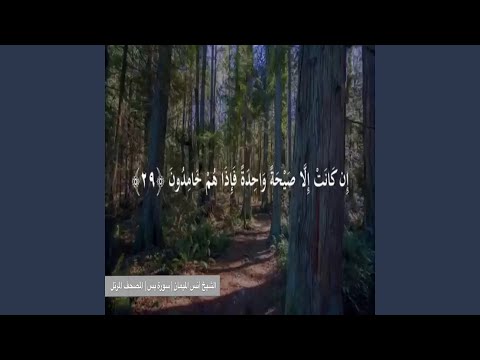 أنس الميمان سورة يس