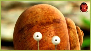 Download Lagu A Snail’s Dream | Minuscule 🍃 80' Compilation MP3