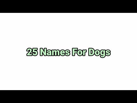 25 Names For Dogs