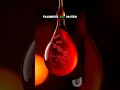 Revolutionary Blood Test: Detecting Dozens of Cancers with One Drop #M... #Shorts