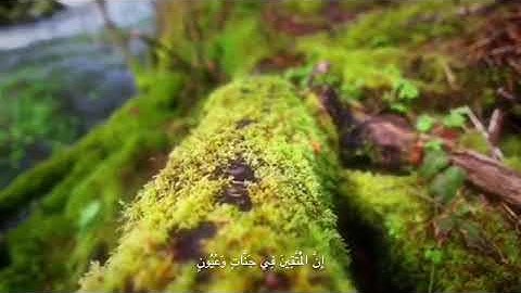 سورة الحجر (45-50)