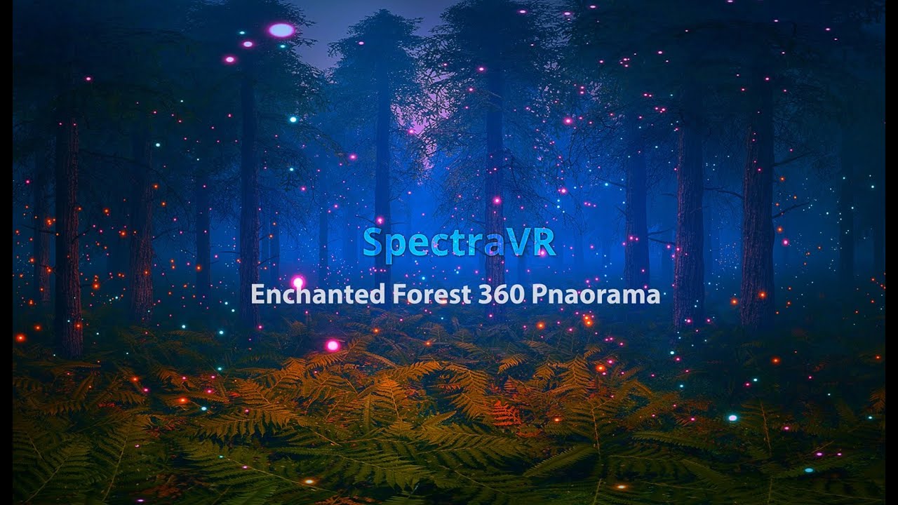 360 Panorama VR enchanted forest with birds and music