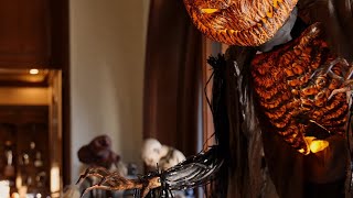 Birnam Wood: 2021 Family Fright Night Recap