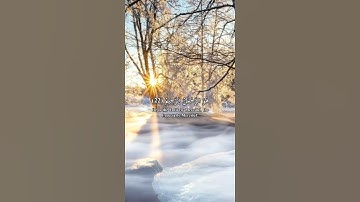 القارئ شريف مصطفى /سورة الحشر 💗🍂