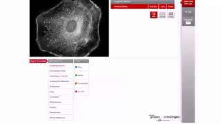 3D Cell Stain App screenshot 2
