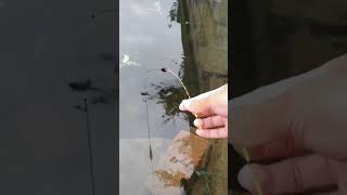 World’s SMALLEST fishing rod Resimi