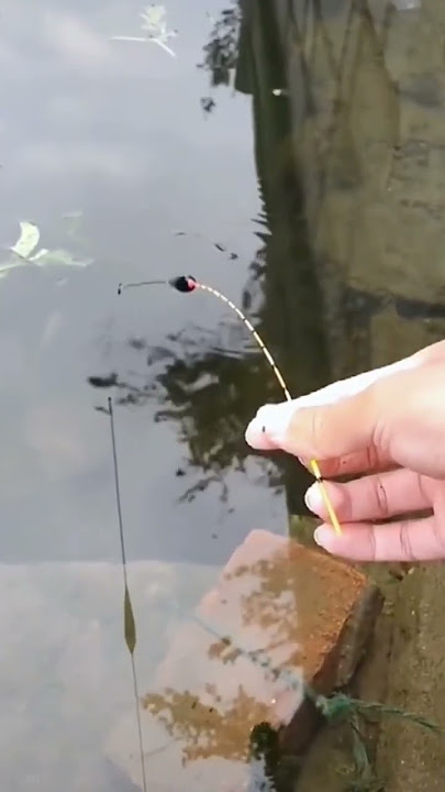 World’s SMALLEST fishing rod