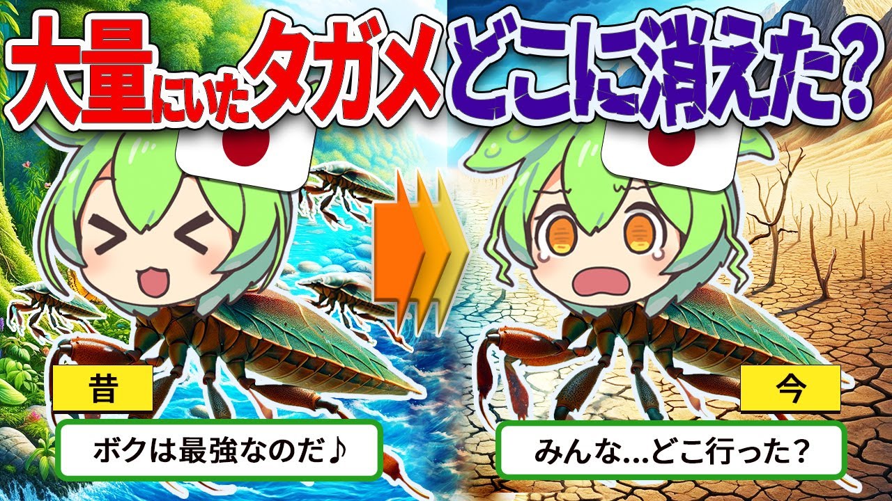 水中最強のタガメはどこに？日本でタガメが姿を消している理由とは？【ずんだもん ゆっくり解説】