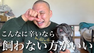 昨年愛犬を2頭亡くしたペットロスを経験して思うこと