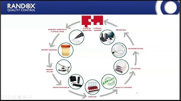 The Role of External Quality Assessment in QC Management