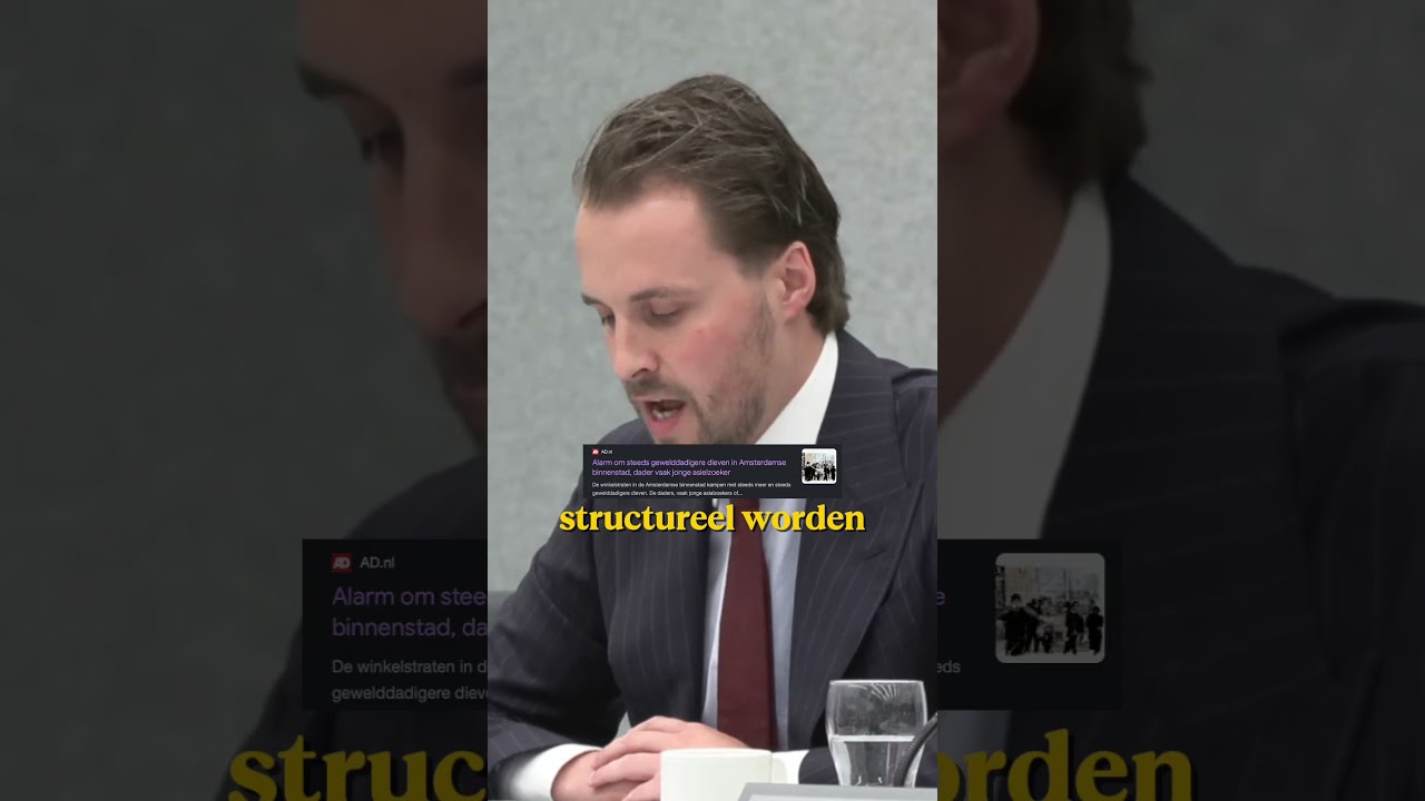 Thumbnail Syriërs die naar Nederland zijn gekomen vanwege Assad hebben geen reden meer om hier te blijven.