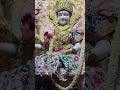जय जगदम्बा भवानी 🙏🌸#jaimatadi #navratri #matasherawali #likeandsubscribe #like #share #feed #share