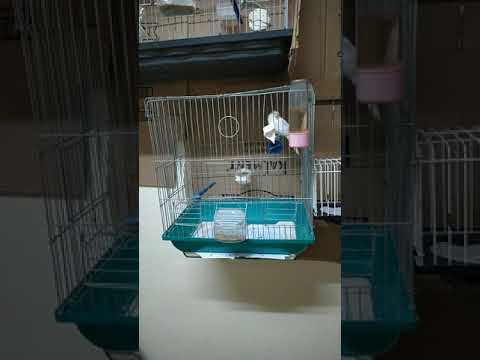 فيرتي فيت الطبيعي ومنافسه للفيرتي فايت المصنع المقدم للطيور من أجل تجهيز الطيور