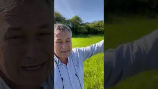 Parcelas rústicas llanas en Asturias en Sariego infórmate 984280228