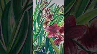 Many flowers here in Barbados caribbean art watercolor collage mixedmartialarts nft 아트 그림