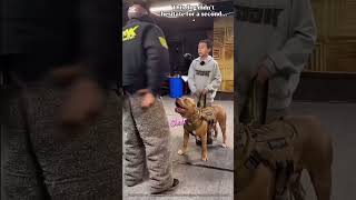 Military Dog Loyalty Test – You Won’t Believe His Reaction! 🐕💥#shorts #usa