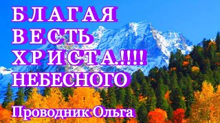 БЛАГАЯ ВЕСТЬ ХРИСТА !!!! НЕБЕСНОГО ⚡️@ОЗАРЕНИЕ_СВЕТОМ
