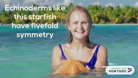 Patterns & Numbers in Nature and World