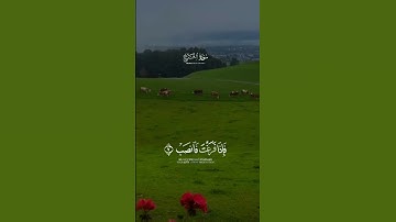 قران كريم |#اسلام_صبحي #تلاوة_خاشعة #اكسبلور #قرآن #الله #لايك #حالات_واتس #duet #القرآن_الكريم