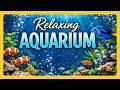 Peaceful Aquarium with Water Sounds and Soft Piano Music | #febfeatures