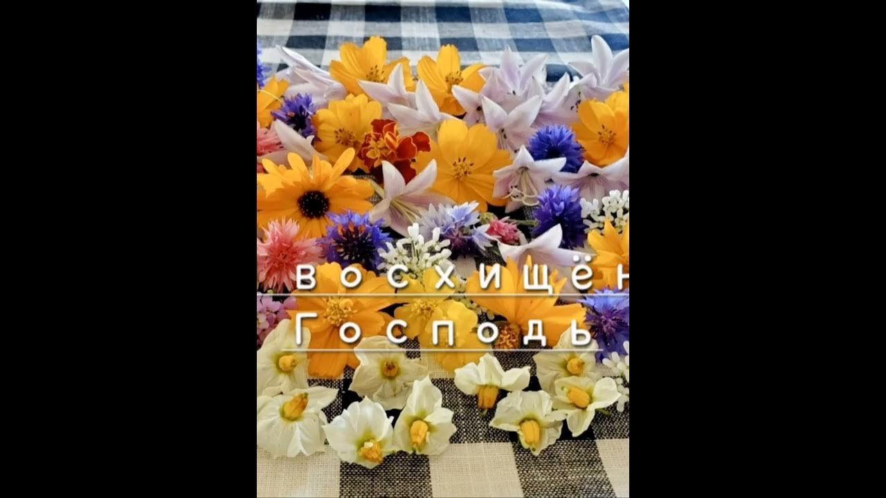 Я восхищен господь. Я восхищен господь