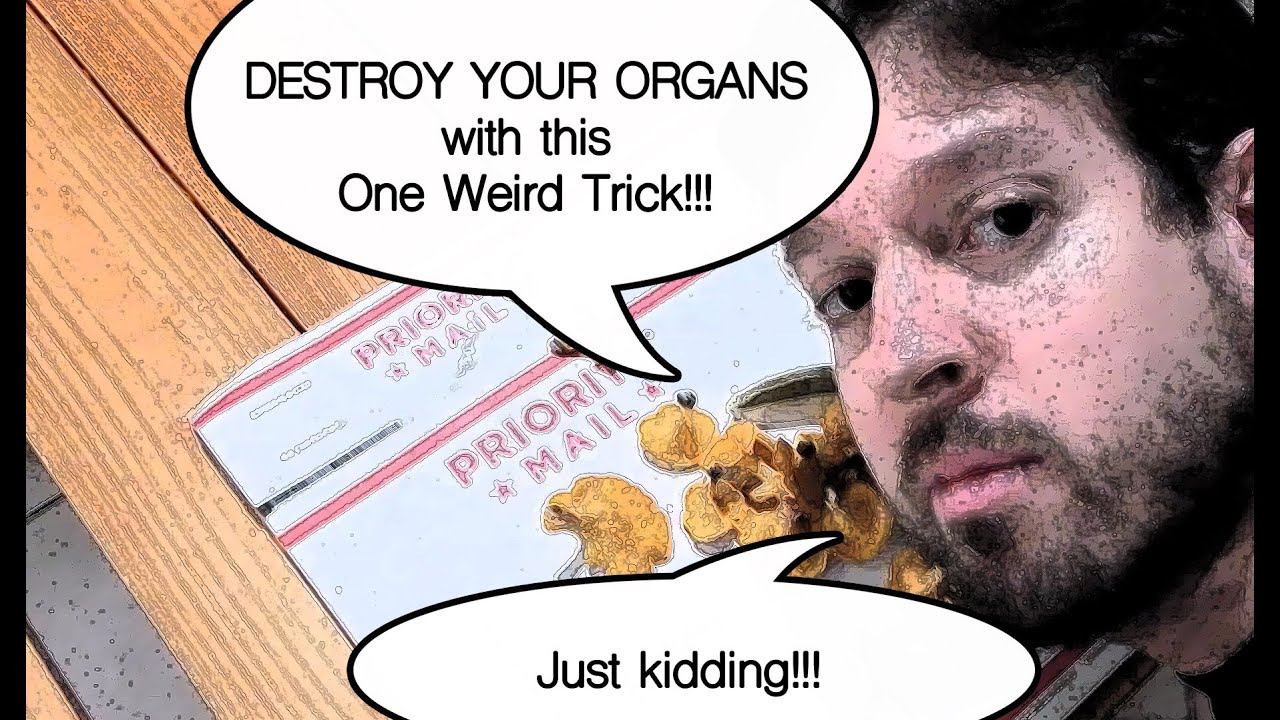 Florida Mushroom Hunting Finds YouTube