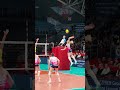 📺 Watch the CEV Champions League Volleyball LIVE on EuroVolley.TV #cev #volleyball #clvolley