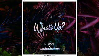 Video thumbnail of "LIZOT & waybackwhen - What's Up? (Official Audio)"
