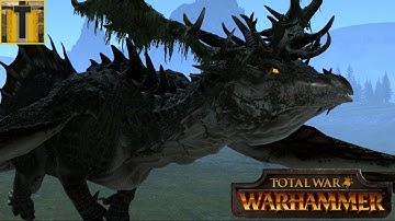 Warhammer: Multiplayer Battle #214- 1v1 Skirmishing against the Empire