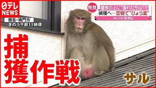 【発見】民家の屋根の上に猿 捕獲作戦は…？