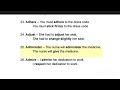 Sentences / Verbs A