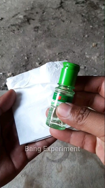 Download lagu Rahasia mengusir semut paling ampuh #idekreatif #tutorial #diy #kreatif