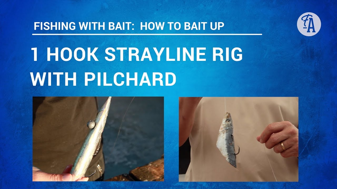 BAIT FISHING: How to put PILCHARD bait on one hook STRAYLINE rig (3 ways) 