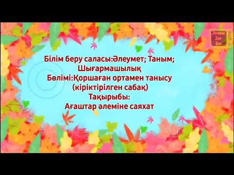 Бейне: Арша (104 сурет): ол қалай көрінеді және қайда өседі? Биік ағаштар мен бұталарға сипаттама. Ашық жерге отырғызу және күтім