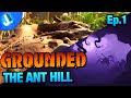 THE ANT HILL - GROUNDED GAMEPLAY Game Preview on Xbox One | Episode 1