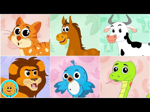 Animal Sound Song and Kindergarten Rhyme for Babies by Hello Cookies
