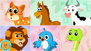 Animal Sound Song And Kindergarten Rhyme For Babies By Hello Cookies