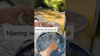 Resep kari daging simple #slowliving #karidaging