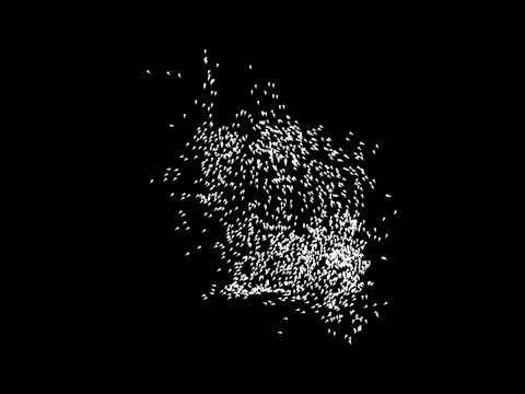 3 Minutes of Boids! Made with with Python using Pygame - YouTube